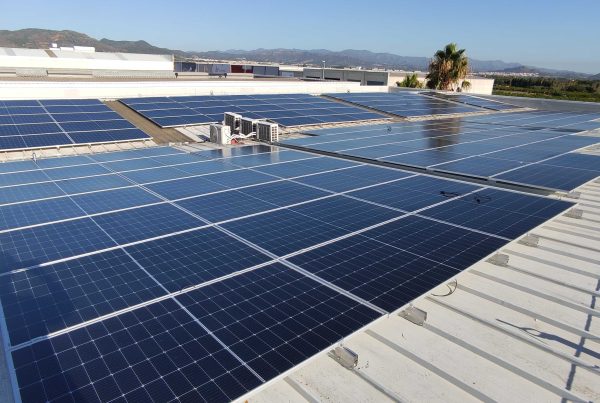 comunidad energética endurance autoconsumo colectivo sapiens energia